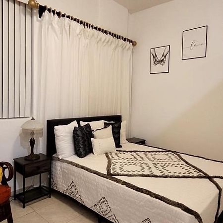 Villa Las Palmeras South Miami Extérieur photo